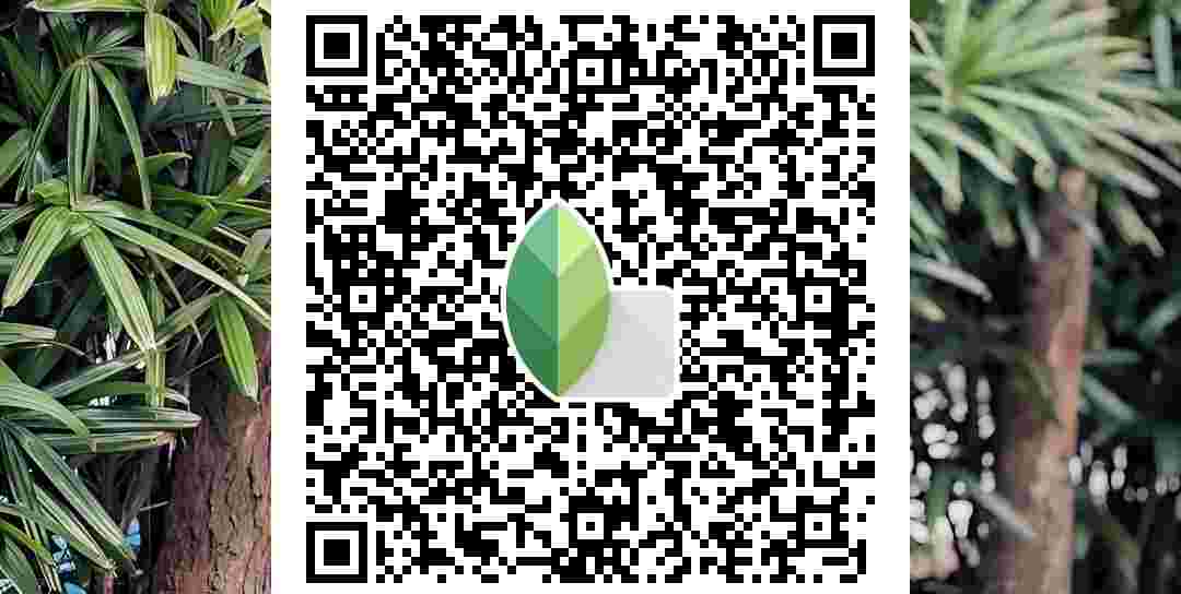 Trending 4 Best Snapseed QR Codes