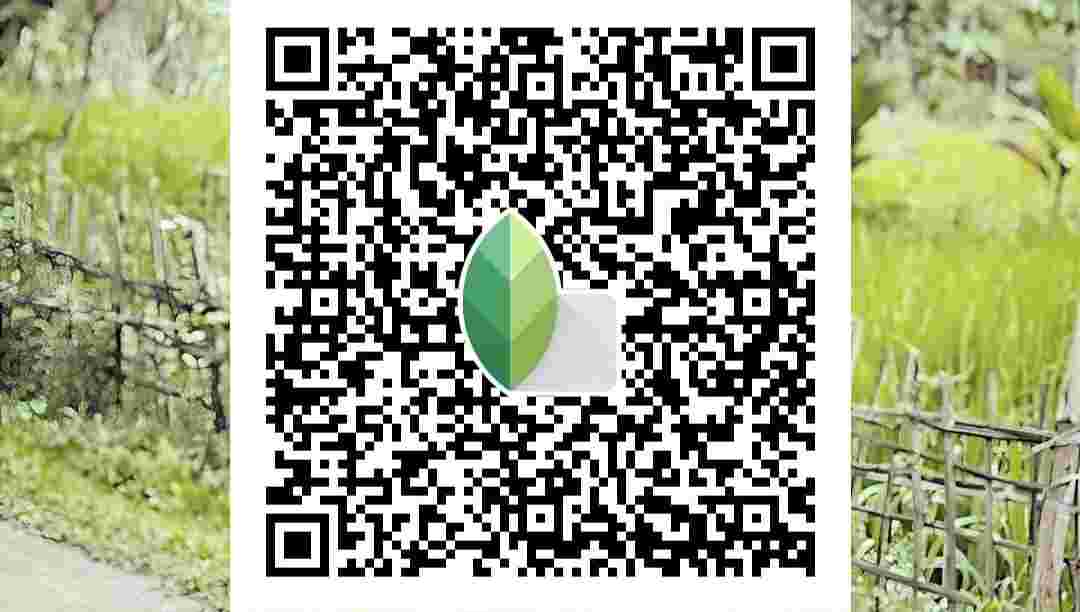 Trending 4 Best Snapseed QR Codes