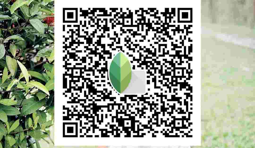 Trending 4 Best Snapseed QR Codes