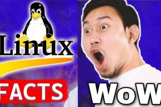 Linux Operating System Facts: Why Linux is The Best OS