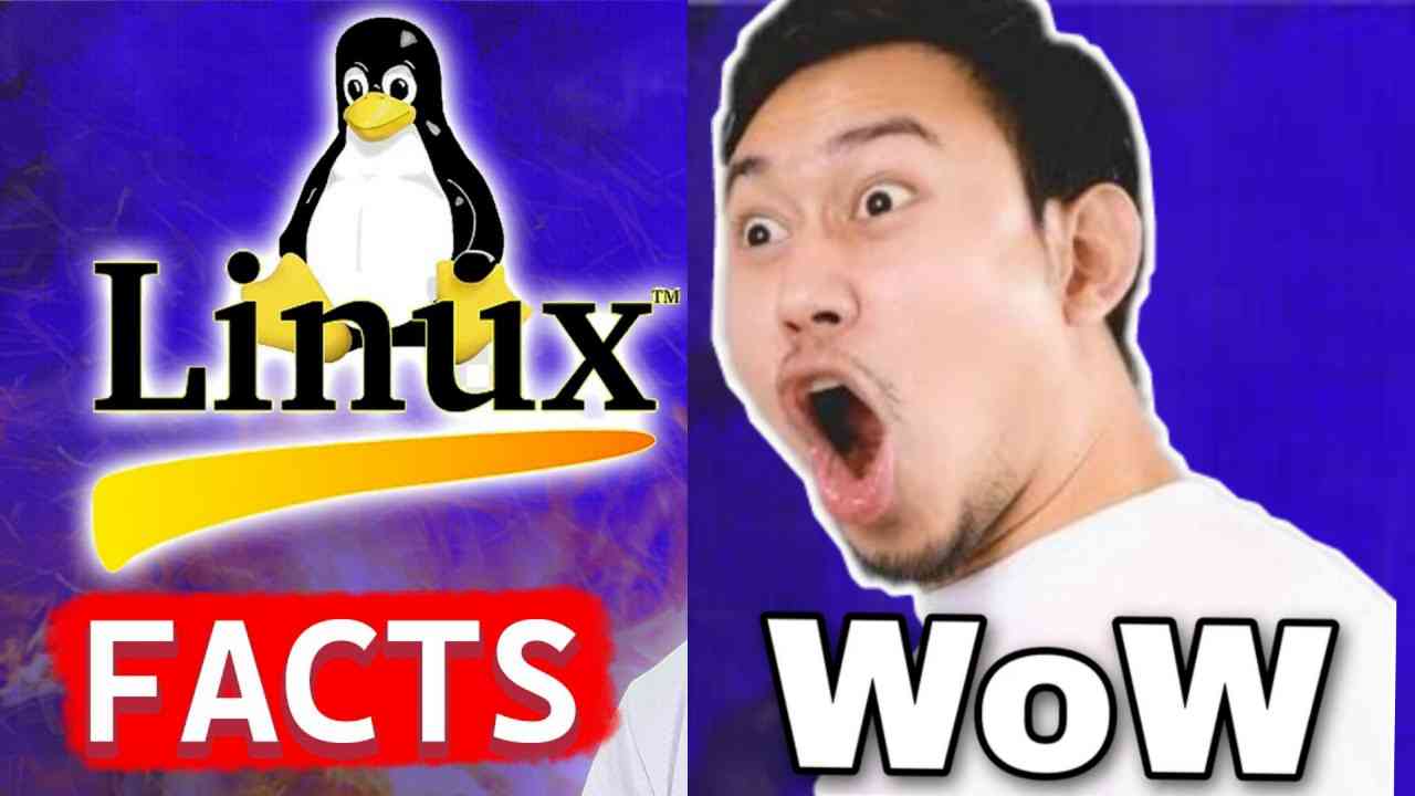 Linux Operating System Facts: Why Linux is The Best OS